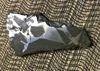 Portales Valley Meteorite,  Mexico full slice 54 grams chrondrite 4