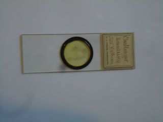 Antique Microscope Slide Challenger Expedition With Data
