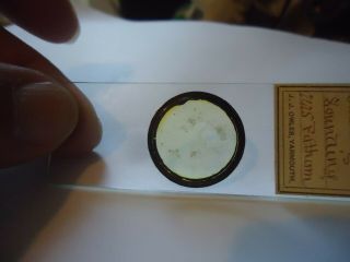 Antique Microscope Slide Challenger expedition with data 5