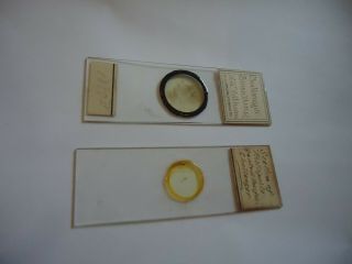2 Antique Microscope Slides Challenger Expedition One With Data