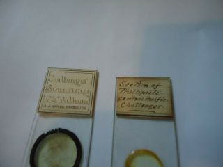 2 Antique Microscope Slides Challenger expedition one with data 2