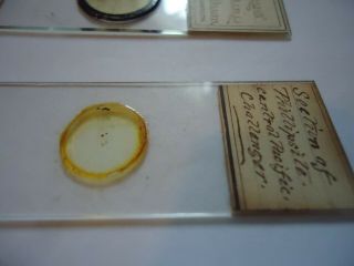 2 Antique Microscope Slides Challenger expedition one with data 5