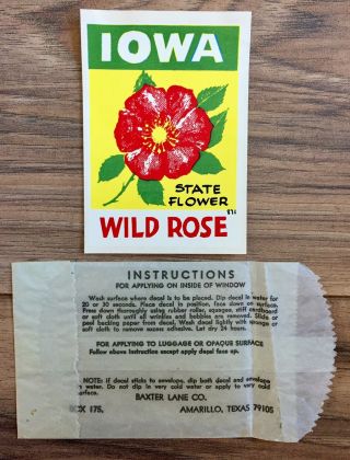 Vintage Iowa State Flower Wild Rose Souvenir Travel Water Window Decal
