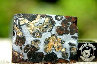 Sericho Pallasite Meteorite From Kenya Africa Habaswein 138.  7 Gram End Cut