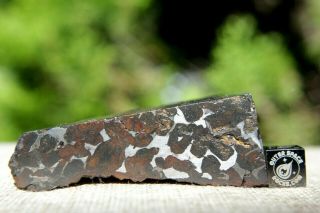 Sericho Pallasite Meteorite from Kenya Africa Habaswein 138.  7 gram end cut 3