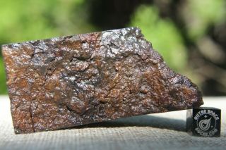 Sericho Pallasite Meteorite from Kenya Africa Habaswein 138.  7 gram end cut 5