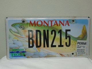 Montana Trout Unlimited License Plate