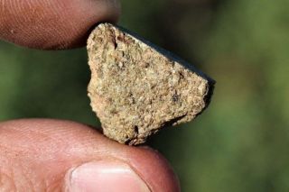 Nwa 7397 Meteorite Slice 2.  59 Grams Full Slice Martian Meteorite