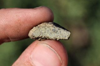 NWA 7397 Meteorite slice 2.  59 grams full slice MARTIAN METEORITE 3