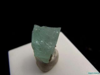 VERY RARE_OPTICAL CLEAR LARGE Emerald Crystal_NAEM_Hiddenite,  N.  C. 3