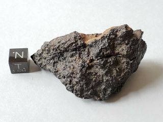 NWA 2502,  CV3 Carbonaceous chondrite,  meteorite,  69.  65g Polished End cut. 4