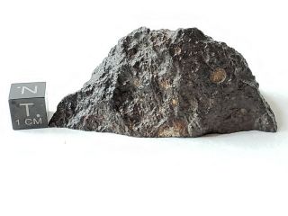 NWA 2502,  CV3 Carbonaceous chondrite,  meteorite,  69.  65g Polished End cut. 6