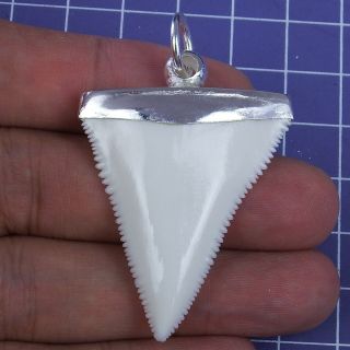 1.  767  Modern Great White Shark Tooth Necklace Handmade Silver Cap Sn69