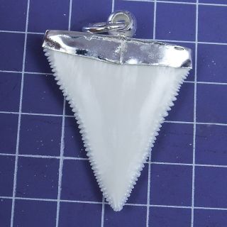 1.  767  Modern Great White Shark Tooth Necklace Handmade Silver Cap SN69 5