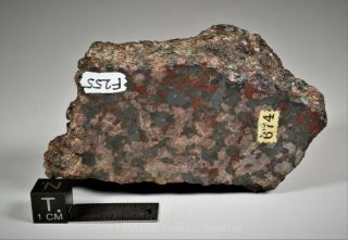 Manganosite with jacobsite,  sonolite,  zincite - Franklin,  NJ 3