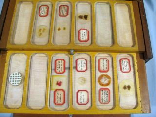 50,  Antique MICROSCOPE SLIDES WITH CASE 3