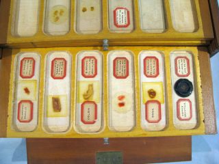 50,  Antique MICROSCOPE SLIDES WITH CASE 4