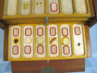 50,  Antique MICROSCOPE SLIDES WITH CASE 5