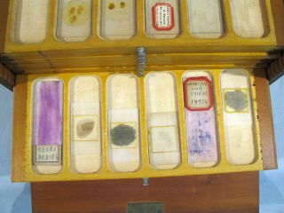 50,  Antique MICROSCOPE SLIDES WITH CASE 6