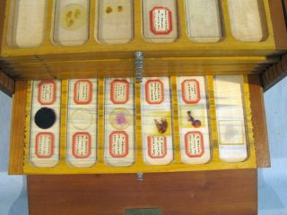 50,  Antique MICROSCOPE SLIDES WITH CASE 7