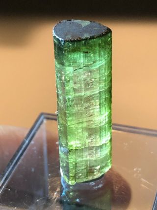 Watermelon Tourmaline Crystal From Brazil,  7 Grams