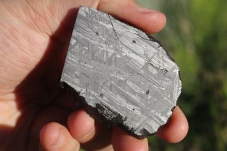 Muonionalusta Meteorite Etched Part Slice 61.  4 Grams