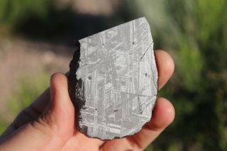 Muonionalusta meteorite etched part slice 61.  4 grams 2