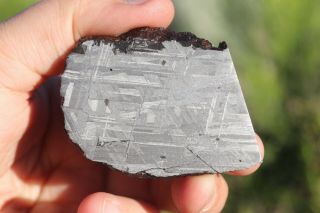 Muonionalusta meteorite etched part slice 61.  4 grams 3