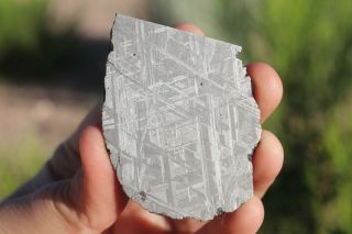 Muonionalusta meteorite etched part slice 61.  4 grams 4
