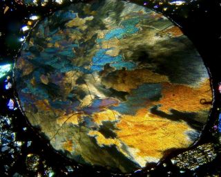 Meteorite Nwa 12009 - Ll3 Chondrite " The Crazy Chondrule " Thin Section