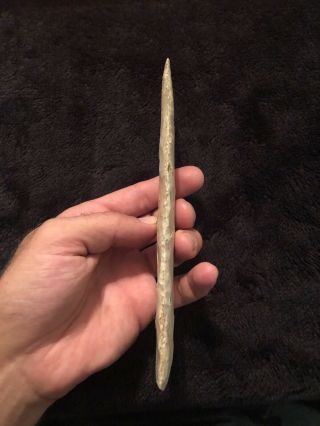 Huge Authentic Native American Blade Arrowhead 4