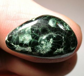 Rare 13.  6 Ct Chlorastrolite - Greenstone: Isle Royale National Park,  Michigan - Nr
