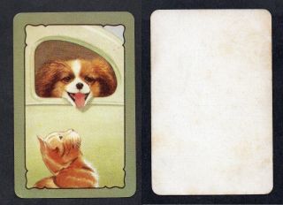 800.  1862 Vintage Coles Swap Card - Exc - Dog And Cat