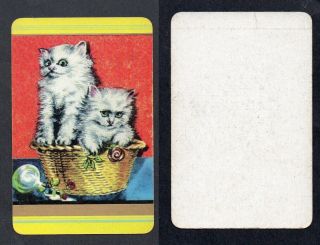 800.  1855 Vintage Coles Swap Card - Exc - Kittens In A Basket