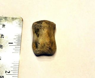 Struthiomimus Toe Bone Dinosaur Fossil Rare