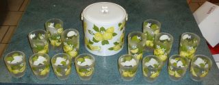16 Piece Frosted Acrylic Ice Bucket With Summer Lemon Glasses By H.  J.  Stotter
