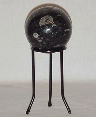 Natural Orthoceras Sphere 1 Pound 14 Ounces With Stand