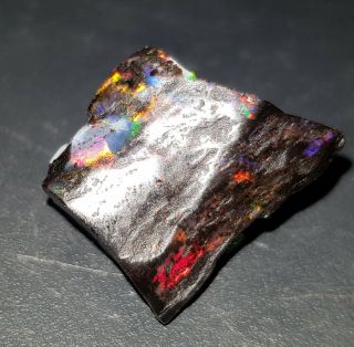 13.  40 Cts Opalized Petrified Wood Opal Indonesia.