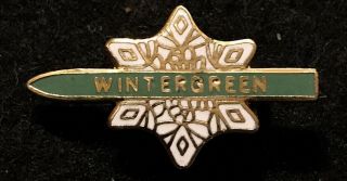 Wintergreen Vintage Skiing Ski Pin Badge Virginia Resort Souvenir Travel Lapel