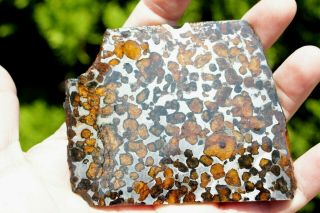 Sericho Pallasite Meteorite from Kenya Africa Habaswein 111.  1 gram part slice 2