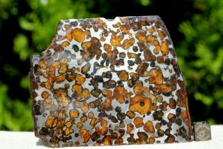 Sericho Pallasite Meteorite from Kenya Africa Habaswein 111.  1 gram part slice 3