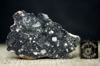 Nwa 11266 Lunar Feldspathic Regolith Breccia Meteorite 10.  7 Grams From The Moon