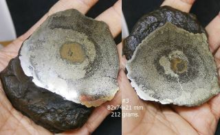 Russian Souvenir: Stabilized Pyrite Jurassic Dinosaur Bone Polished Slab
