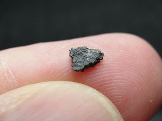Meteorite Nwa 2737 Achondrite Martian Chassignite - 2737 - 0003 - 0.  05g - Rare