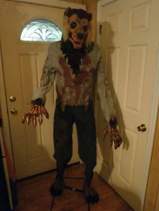 Animated 6 Foot Tall Life Size Lunging Werewolf Halloween Prop