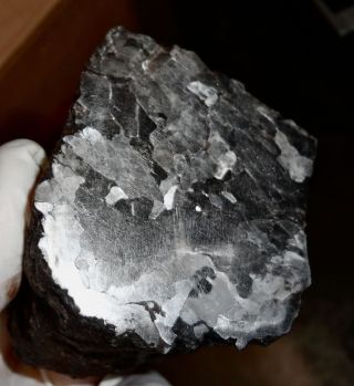 755 Gm.  Etched Campo Del Cielo Meteorite End Cut