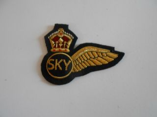 Sky Bullion Half Wing Obsolete Airline Aircrew Insignia