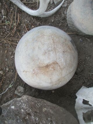 Anasazi  Reserve  Bowl 1100 AD. 3