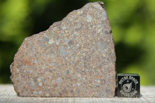 NWA 10686 L3 Primitive Chondrite Meteorite 9.  4 gram part slice simply 4