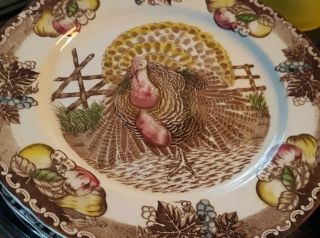 Set Of 6 King Tom Ironstone Turkey Dinner Plates Thanksgiving